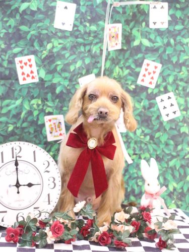 20250424紋之助くん